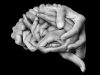 cerebro-manos-1