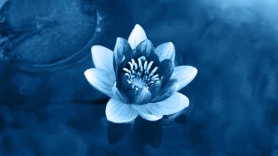 color-azul-1-1