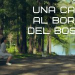 una casa al borde del bosque